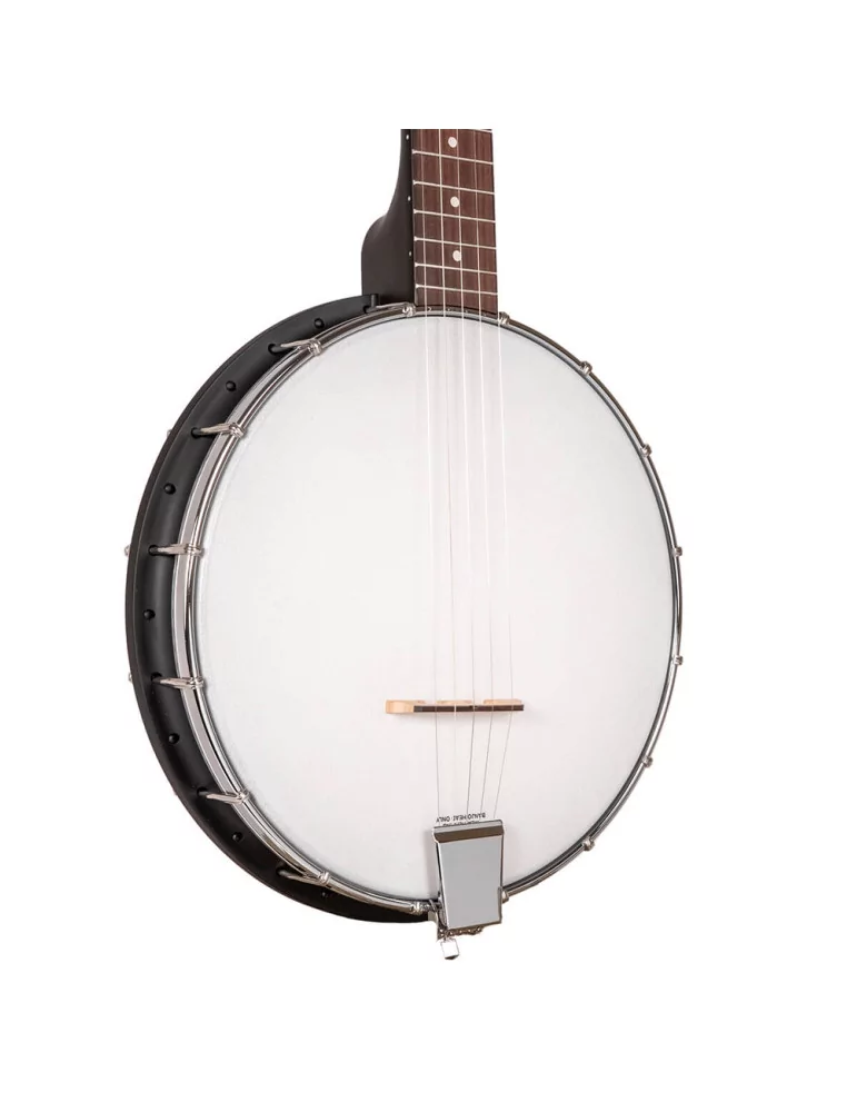 GOLD TONE AC-1LN | MusicGoodDeal