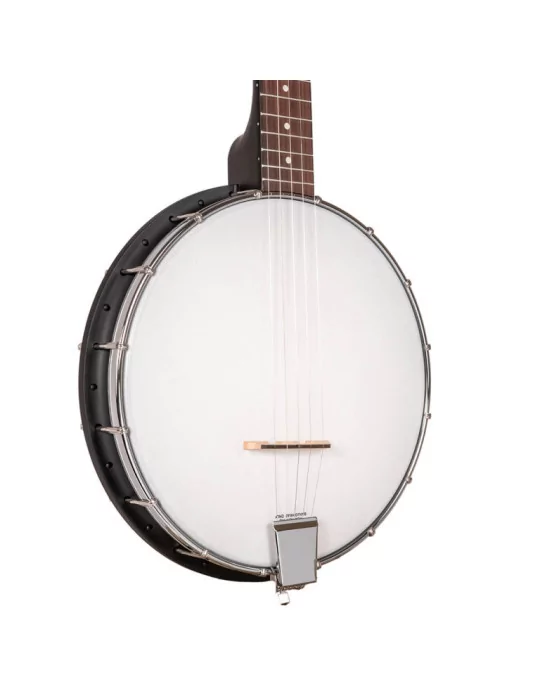GOLD TONE AC-1LN | MusicGoodDeal