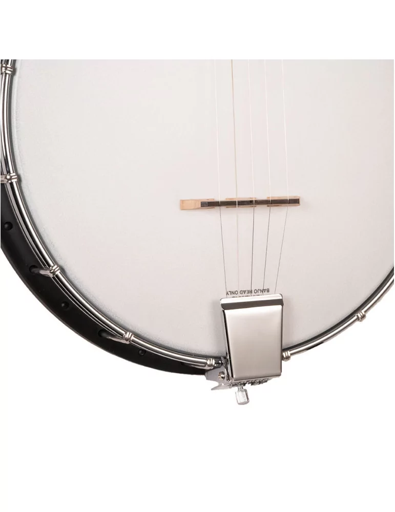 GOLD TONE AC-1LN | MusicGoodDeal