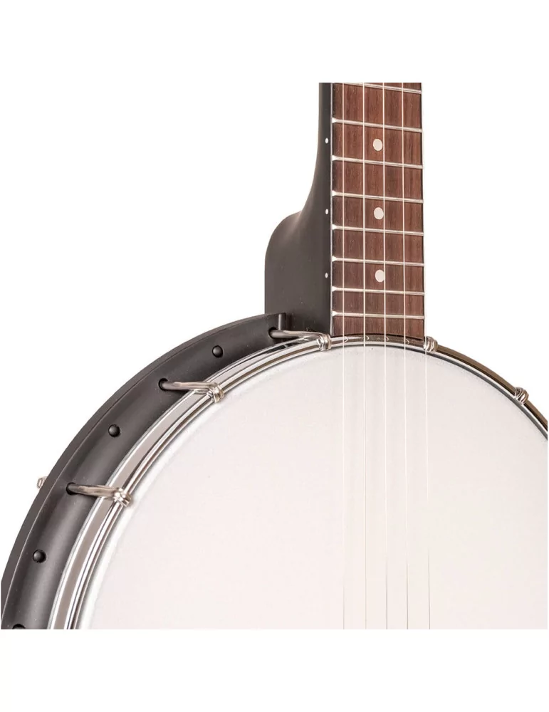 GOLD TONE AC-1LN | MusicGoodDeal