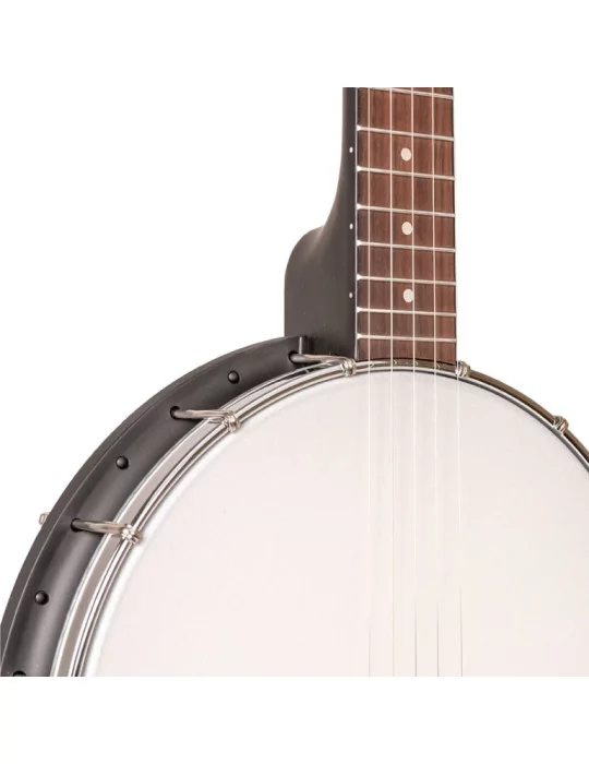 GOLD TONE AC-1LN | MusicGoodDeal