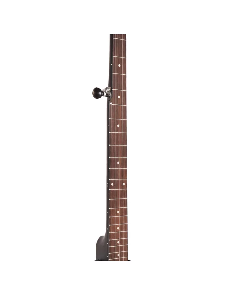 GOLD TONE AC-1LN | MusicGoodDeal