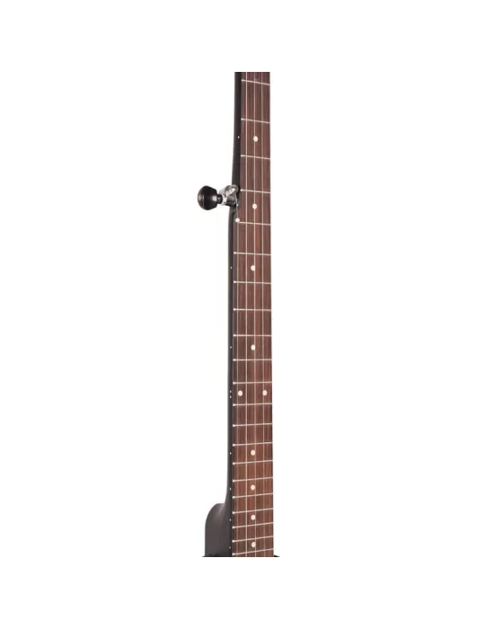 GOLD TONE AC-1LN | MusicGoodDeal