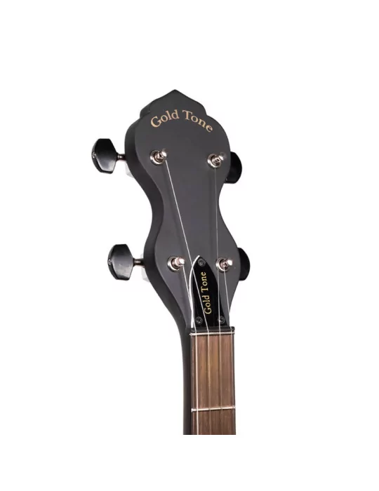 GOLD TONE AC-1LN | MusicGoodDeal