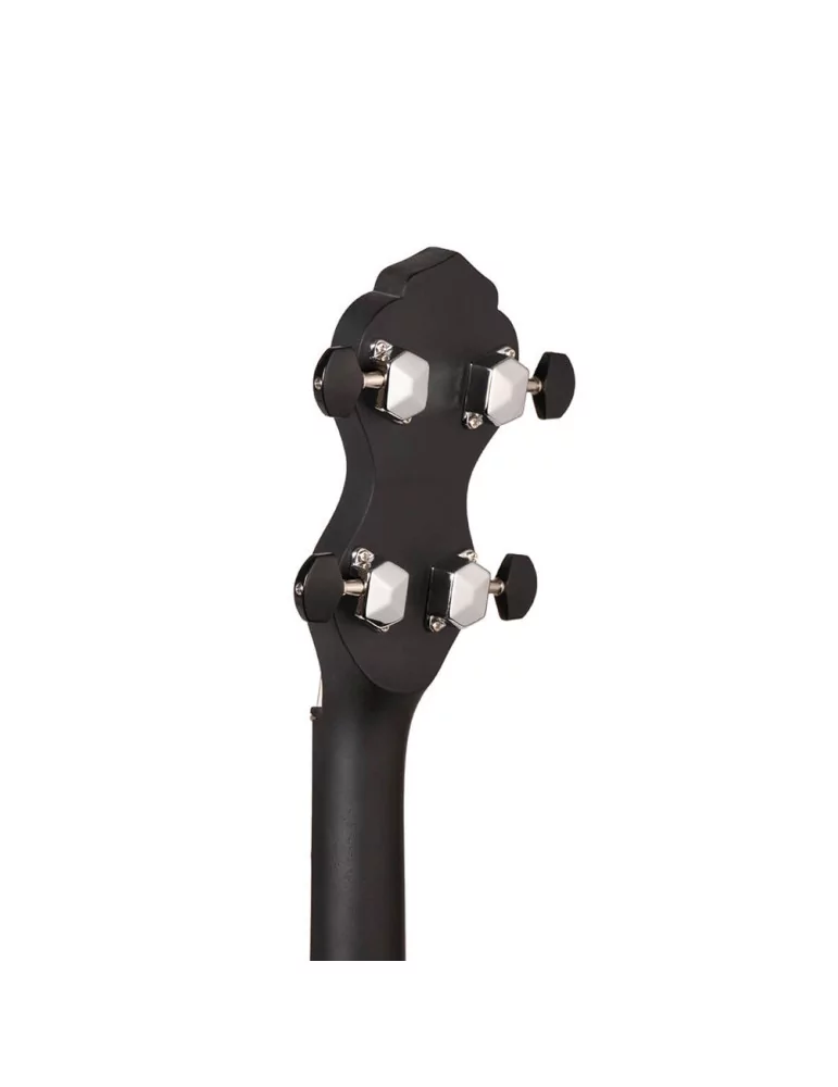 GOLD TONE AC-1LN | MusicGoodDeal