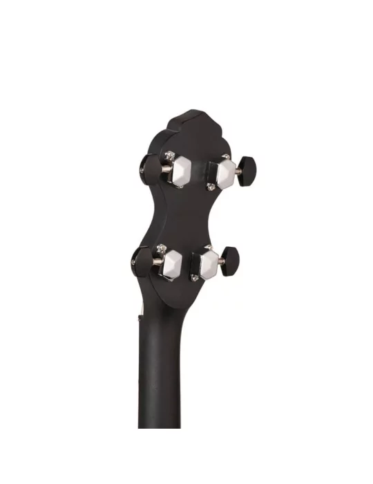 GOLD TONE AC-1LN | MusicGoodDeal