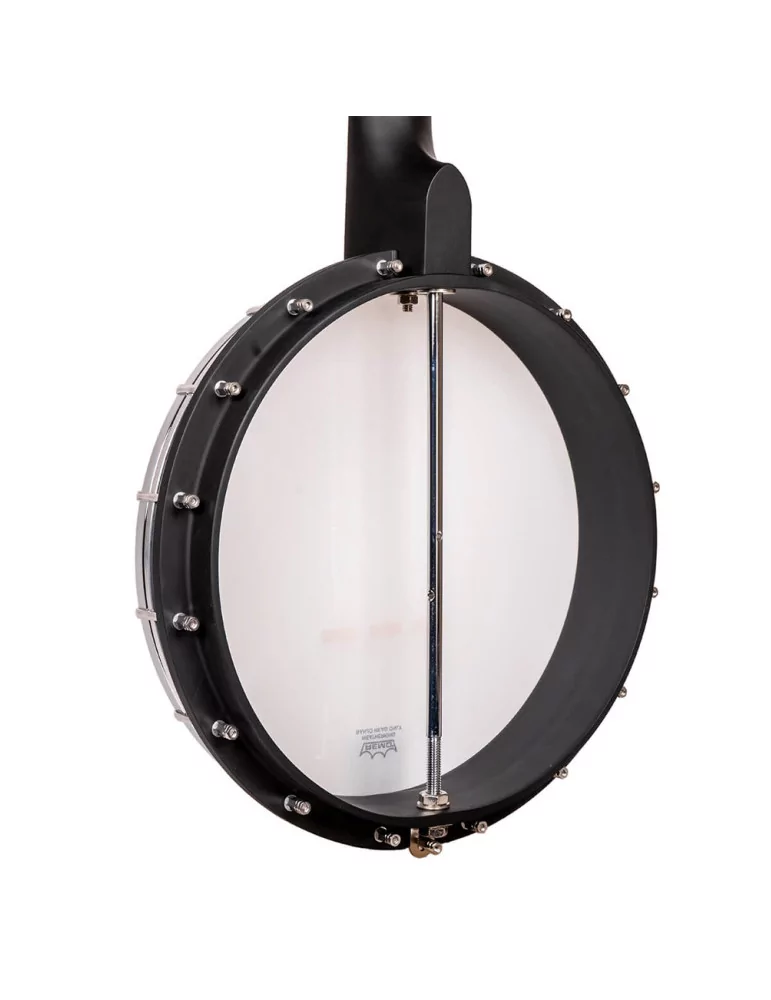 GOLD TONE AC-1LN | MusicGoodDeal