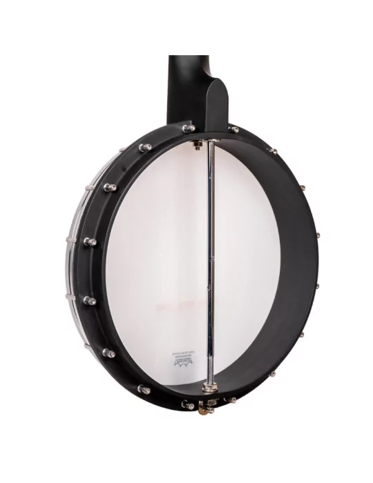 GOLD TONE AC-1LN | MusicGoodDeal