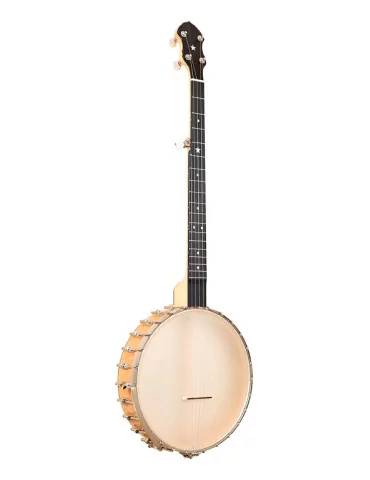 GOLD TONE BC-350 | MusicGoodDeal