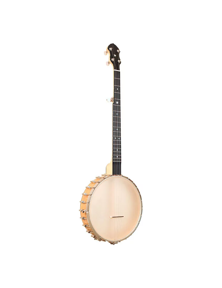 GOLD TONE BC-350 | MusicGoodDeal