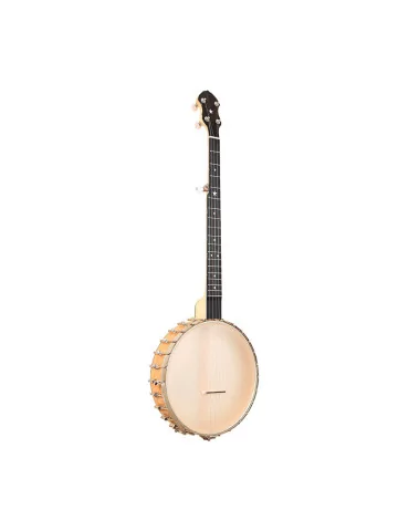 GOLD TONE BC-350 | MusicGoodDeal 2