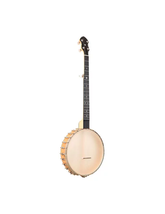 GOLD TONE BC-350 | MusicGoodDeal