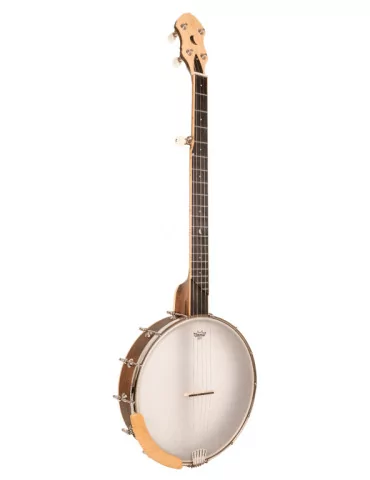 GOLD TONE HM-100 | MusicGoodDeal