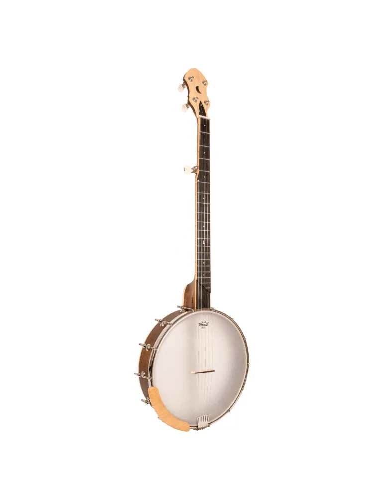 GOLD TONE HM-100 | MusicGoodDeal