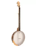 GOLD TONE HM-100 | MusicGoodDeal