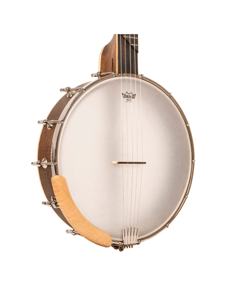 GOLD TONE HM-100 | MusicGoodDeal