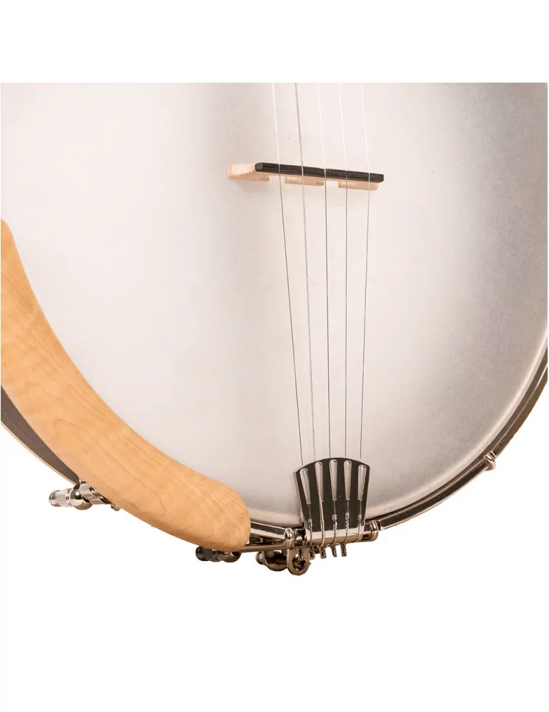 GOLD TONE HM-100 | MusicGoodDeal
