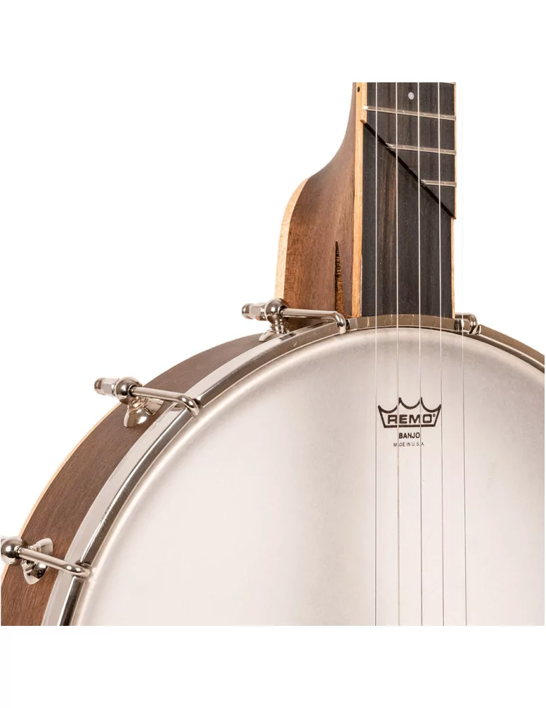 GOLD TONE HM-100 | MusicGoodDeal
