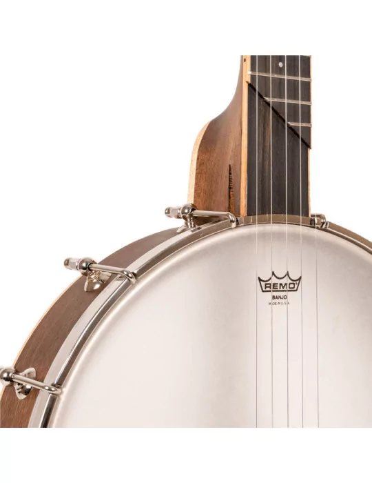 GOLD TONE HM-100 | MusicGoodDeal