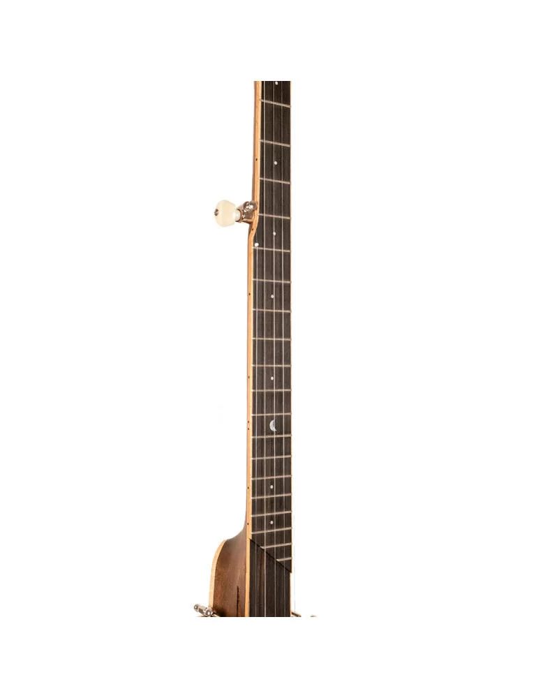 GOLD TONE HM-100 | MusicGoodDeal