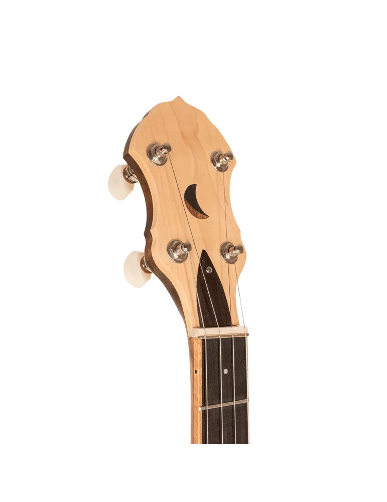 GOLD TONE HM-100 | MusicGoodDeal
