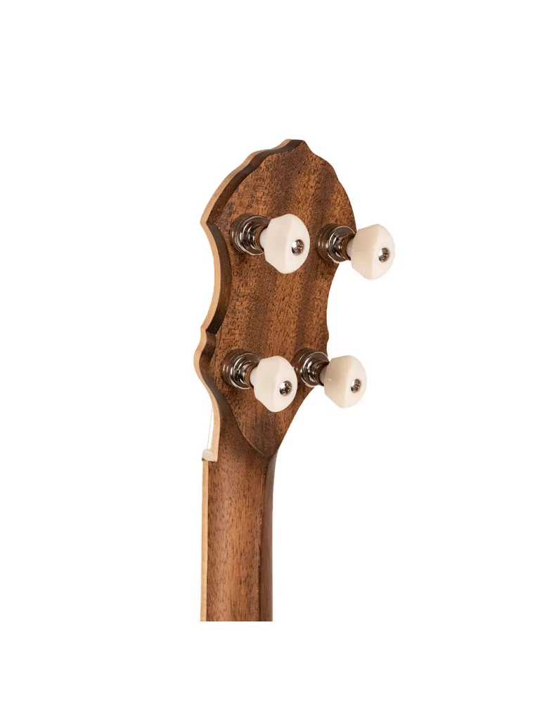 GOLD TONE HM-100 | MusicGoodDeal