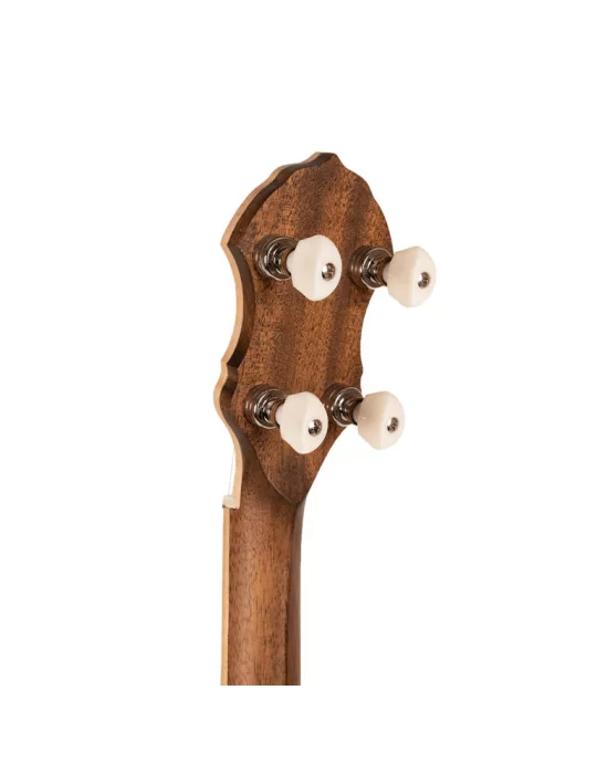 GOLD TONE HM-100 | MusicGoodDeal
