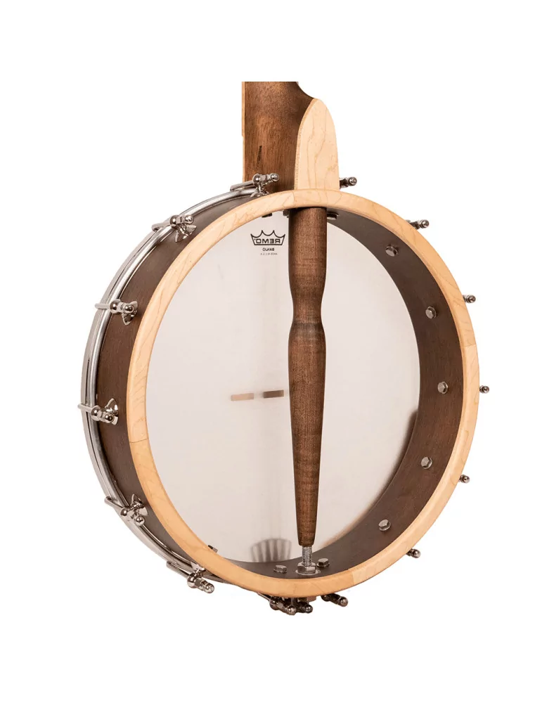 GOLD TONE HM-100 | MusicGoodDeal