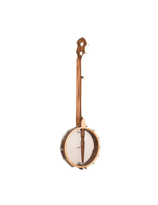 GOLD TONE HM-100 | MusicGoodDeal