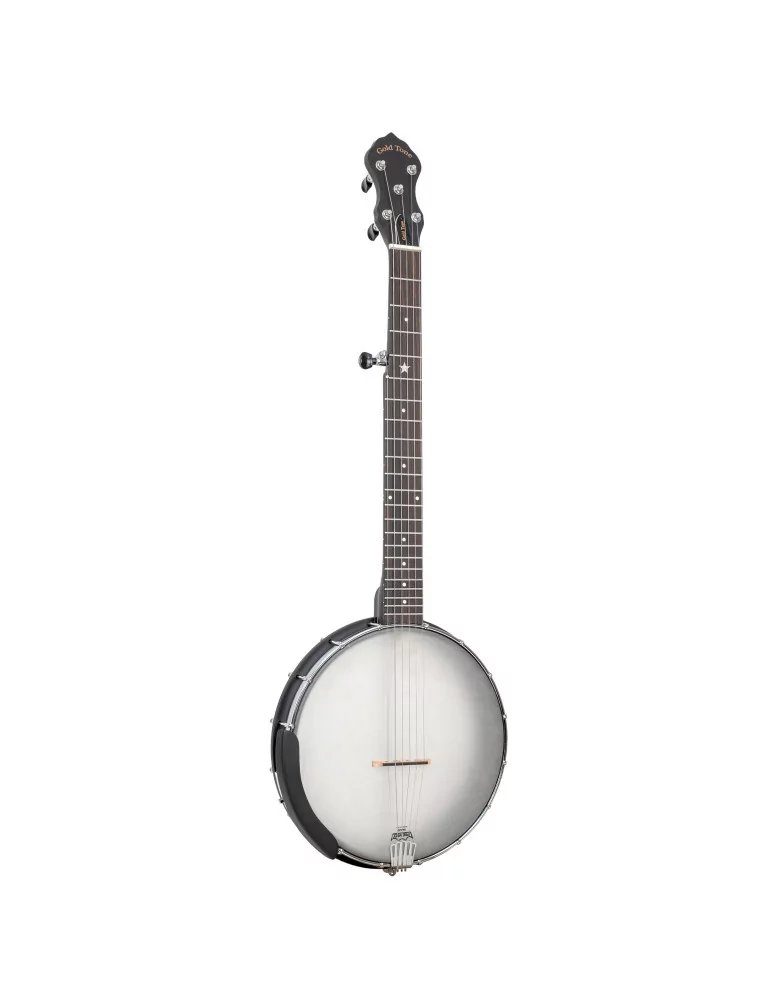 GOLD TONE AC-5 1 | MusicGoodDeal