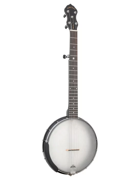 GOLD TONE AC-5 1 | MusicGoodDeal