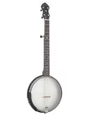 GOLD TONE AC-5 1 | MusicGoodDeal