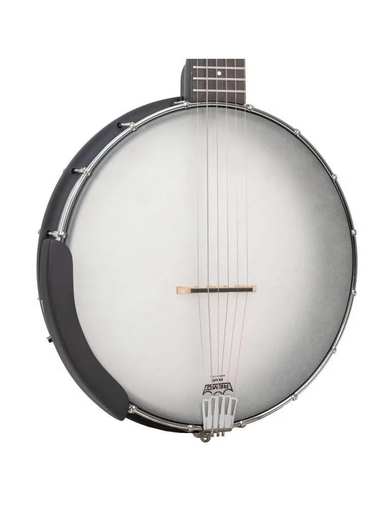 GOLD TONE AC-5 1 | MusicGoodDeal