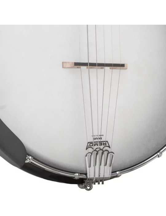 GOLD TONE AC-5 1 | MusicGoodDeal