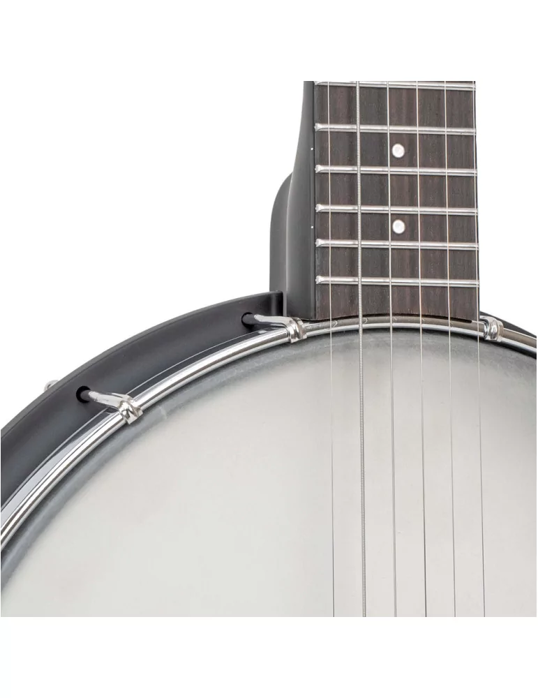 GOLD TONE AC-5 1 | MusicGoodDeal