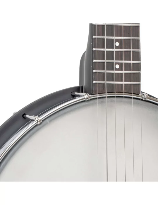 GOLD TONE AC-5 1 | MusicGoodDeal