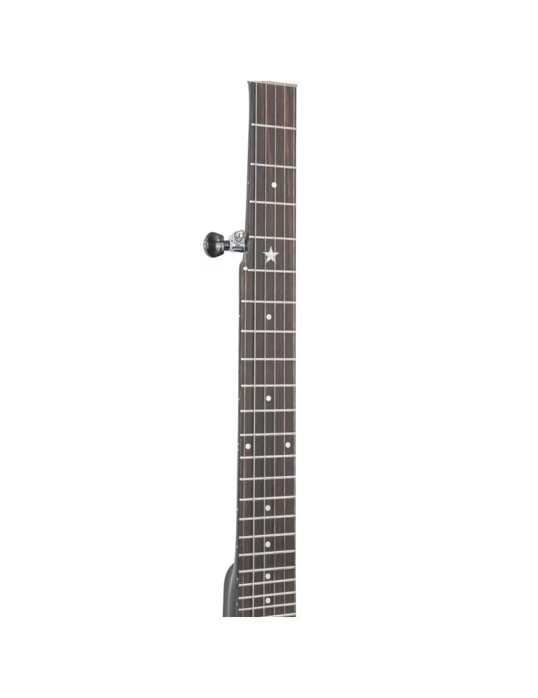 GOLD TONE AC-5 1 | MusicGoodDeal