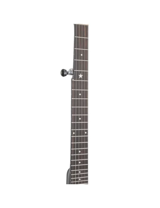 GOLD TONE AC-5 1 | MusicGoodDeal