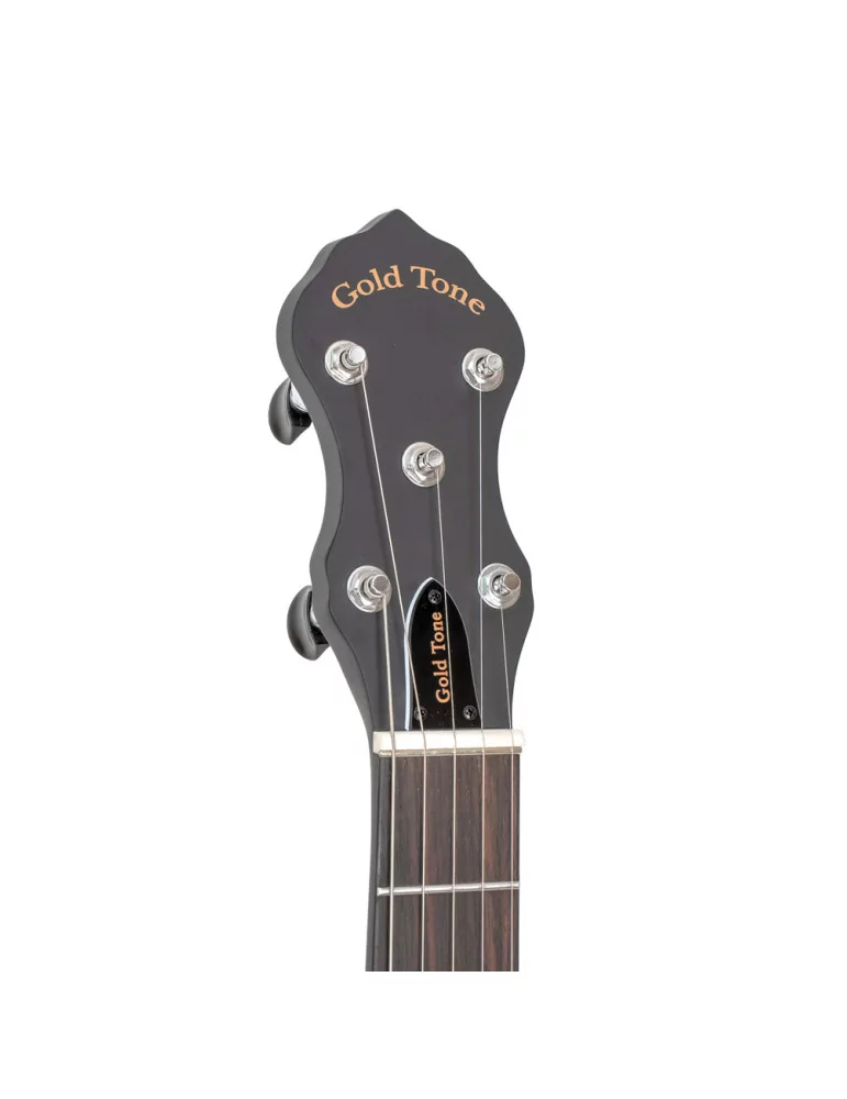 GOLD TONE AC-5 1 | MusicGoodDeal