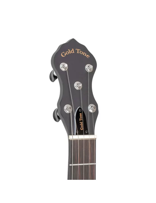 GOLD TONE AC-5 1 | MusicGoodDeal