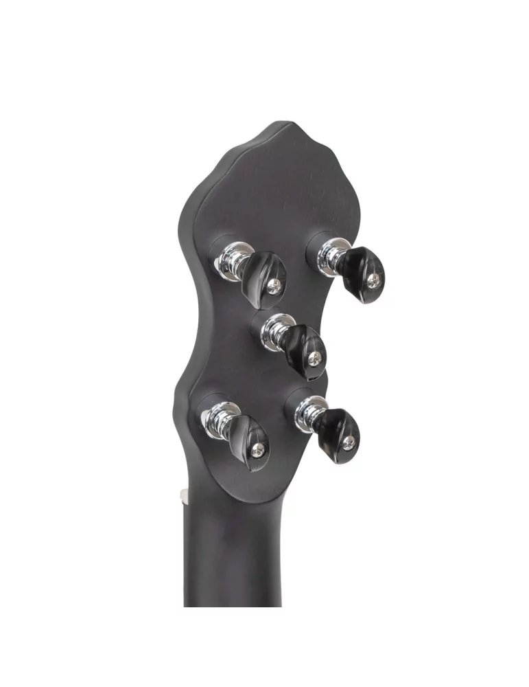 GOLD TONE AC-5 1 | MusicGoodDeal