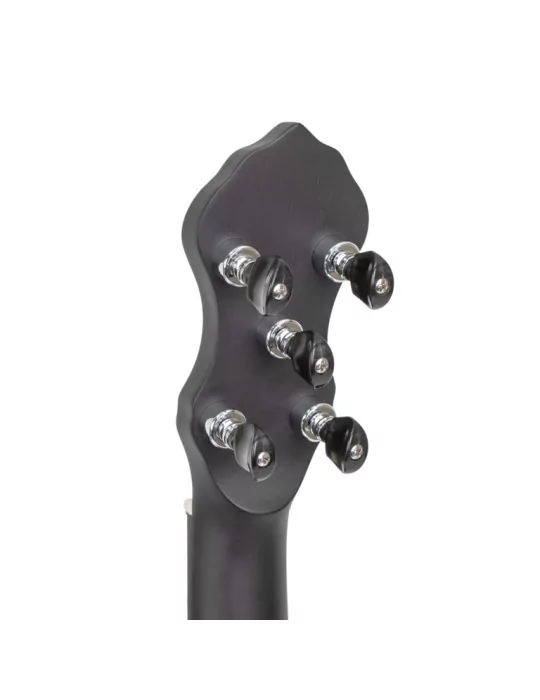 GOLD TONE AC-5 1 | MusicGoodDeal