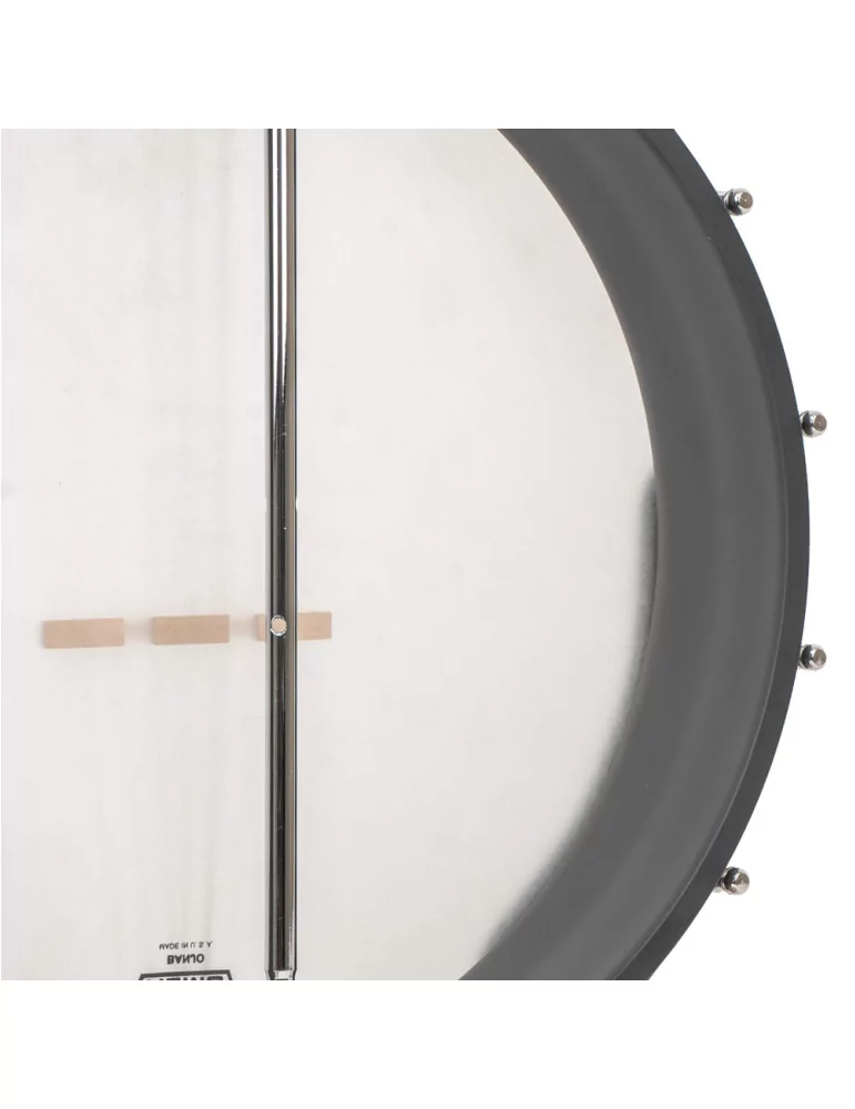 GOLD TONE AC-5 1 | MusicGoodDeal