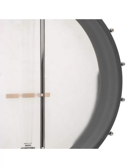GOLD TONE AC-5 1 | MusicGoodDeal