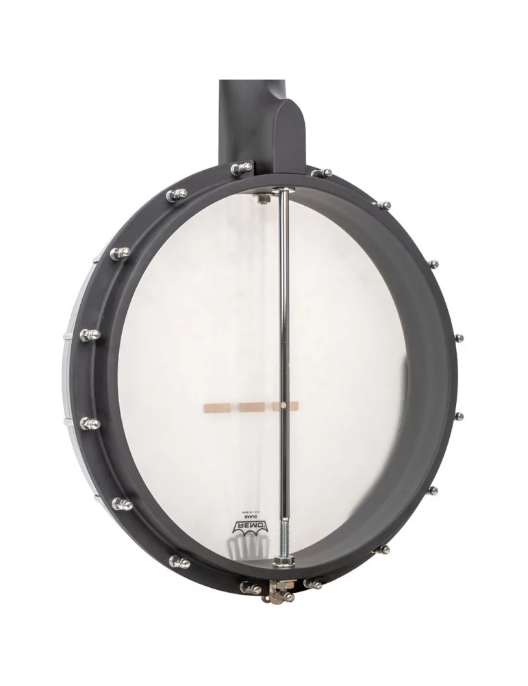 GOLD TONE AC-5 1 | MusicGoodDeal