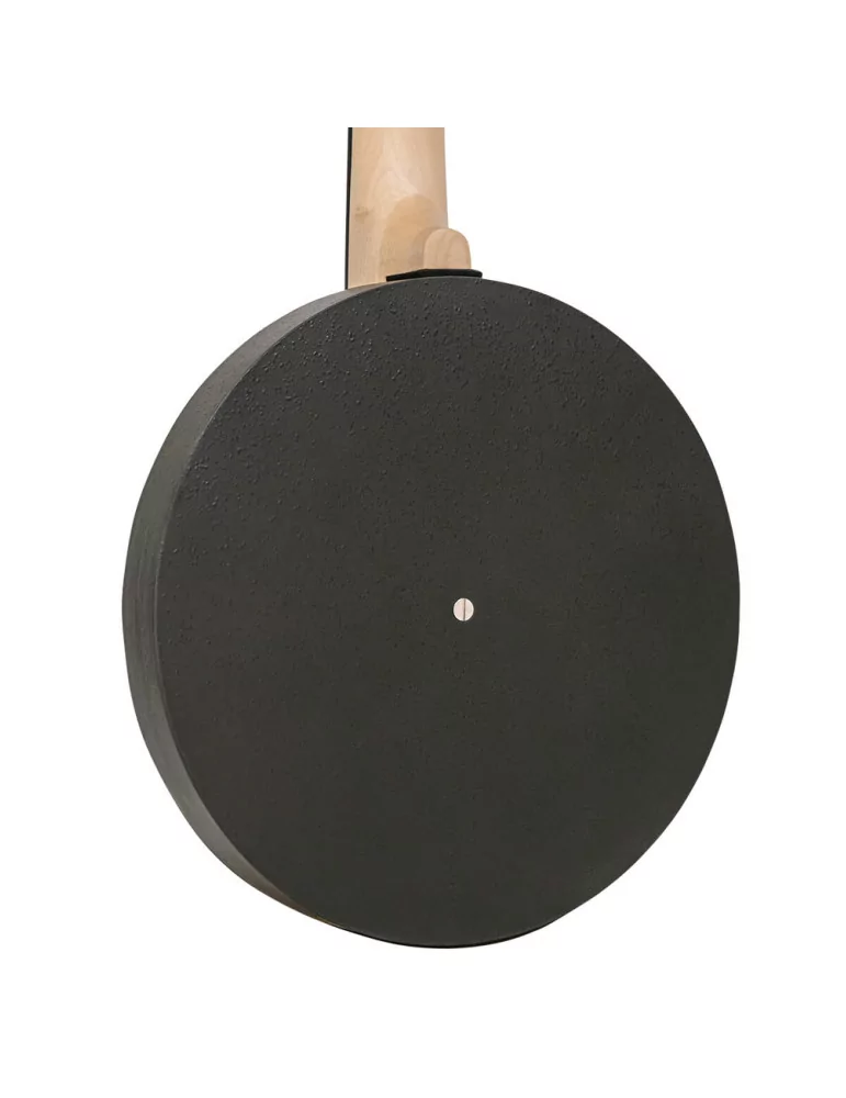 GOLD TONE AC-6+ Banjitar mit Tonabnehmer und Tasche|MusicGoodDeal 