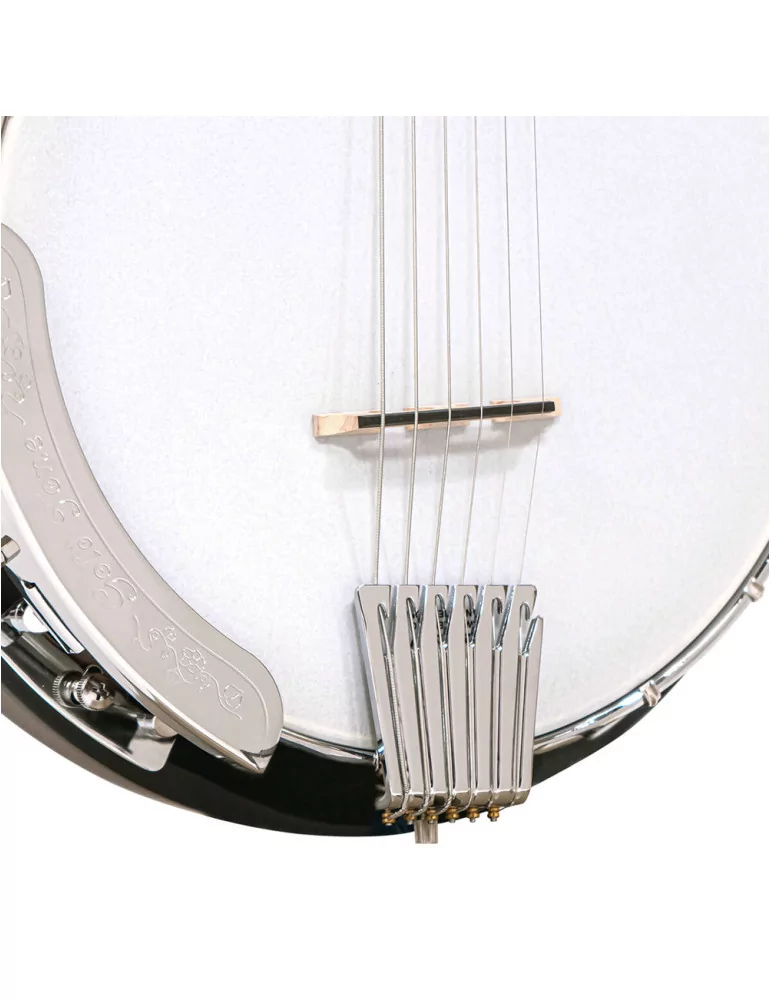 GOLD TONE CC-BANJITAR | MusicGoodDeal