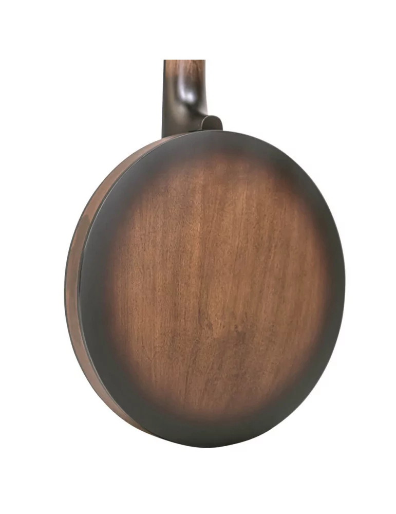 GOLD TONE CC-BANJITAR | MusicGoodDeal