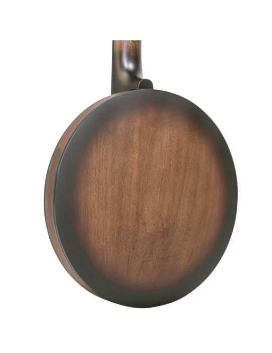 GOLD TONE CC-BANJITAR | MusicGoodDeal