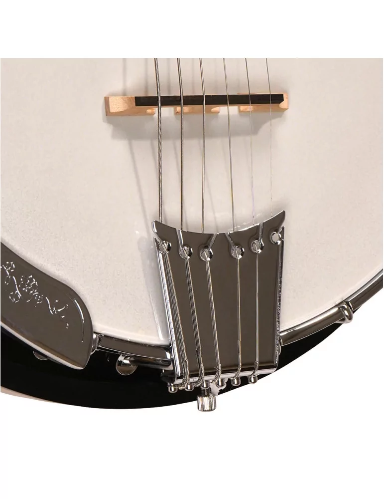  GOLD TONE GT-500 Gold Tone Deluxe Banjitar 6-Saiter Gitarrenhals mit Banjo-Korpus|MusicGoodDeal 